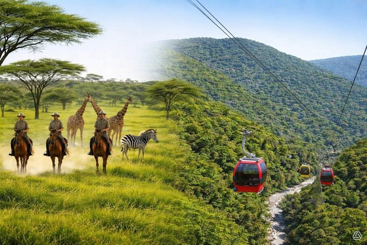 Horseback Safari & Cable Car Ride from Johannesburg - Photo 1 of 20